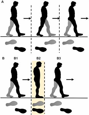 Efficiency and Stability of Step-To Gait in Slow Walking